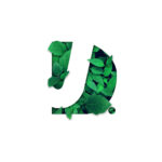 Logo-JD-sustainable